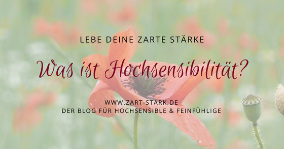 Foto einer zarten Mohnblüte