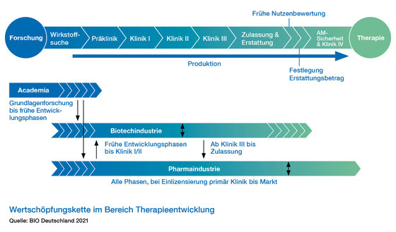 Grafik zur Wertschöpfungskette im Bereich Therapieentwicklung 