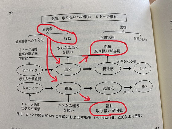 馬のウェルフェア