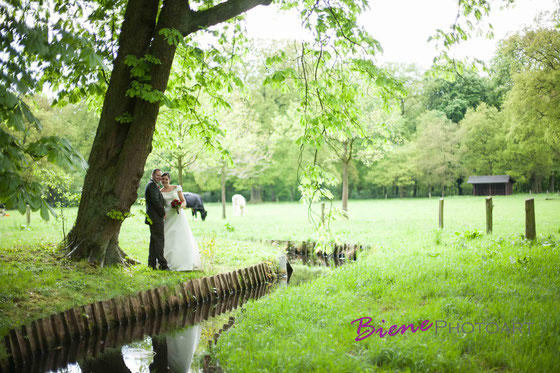 Hochzeit Bremen,Hochzeit Stuhr,Hochzeit Lür Kropp Hof,Hochzeit Delmenhorst,Hochzeit Oldenburg,Hochzeitsfotograf Bremen,Hochzeitsfoto Stuhr, Hochzeit Syke, Sabine Lange, Biene Photoart 1