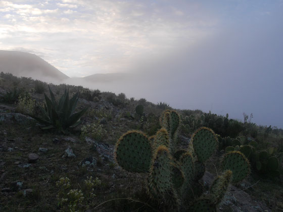 Clouds coming up from the valley 