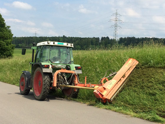 Seitenmulcher mit Ausleger für das Mulchen von Wiesenränder
