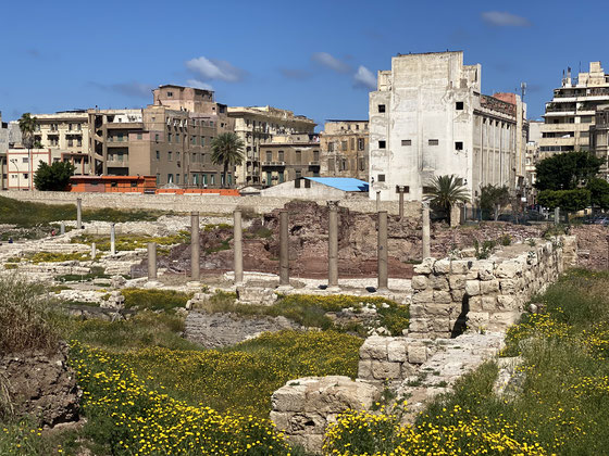resti di colonne dell'anfiteatro romano tra prato in fiore e palazzi sullo sfondo