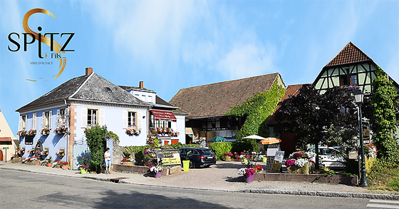 Das Weingut Spitz & Fils in Blienschwiller im Elsass