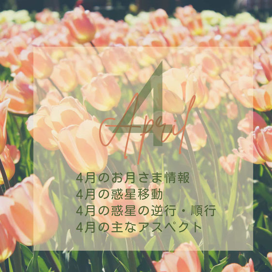 2026年4月の星情報#アジュガの星コラム#Astro・Ajuga#西洋占星術