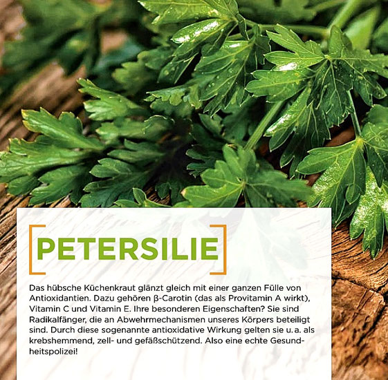 Petersilie
