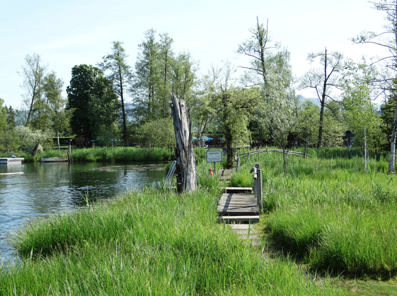 (Bild: buebikernews)