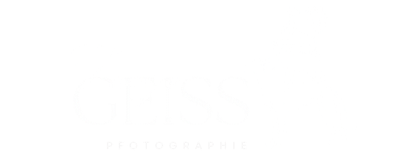 tierfotograf bremen, hundefotografie bremen  tierportraits Bremen