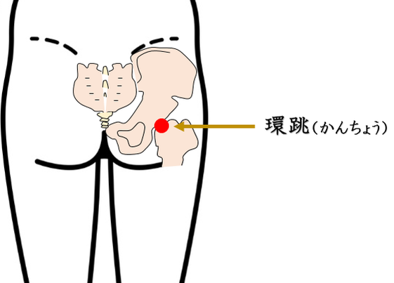 腰痛・坐骨神経痛・鍼灸師がおススメする自分で出来るセルフケアを紹介・環跳・かんちょう・ツボ・経穴・足反射・東洋医学・鍼灸・漢方・漢方薬