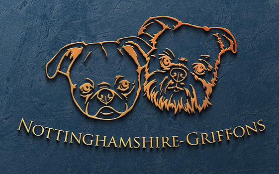 Kennel Nottinghamshire Griffon