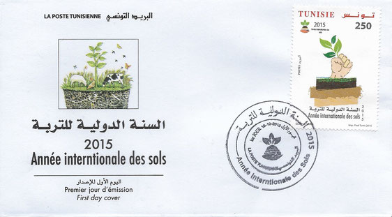 interntionale year of the soils tunisia anneé interntionale des sols