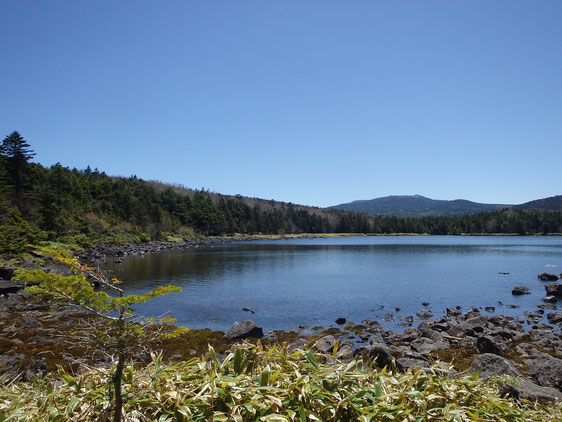 北横岳　登山　ガイド