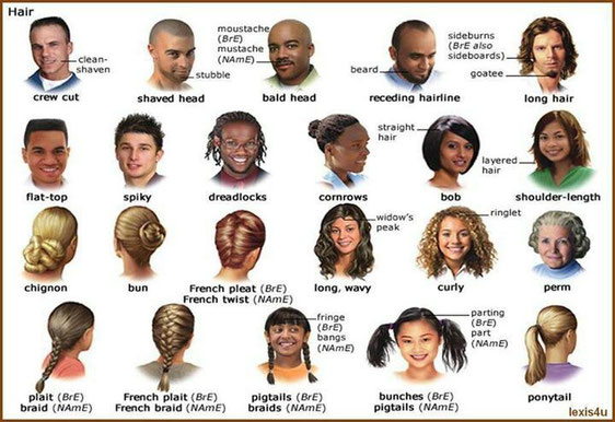 physical description vocabulary httpwwwoxfordlearnersdictionariescomdefinitionenglishhair