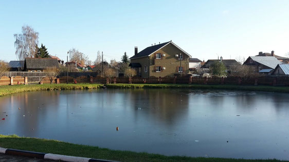 Der Teich war zugefroren