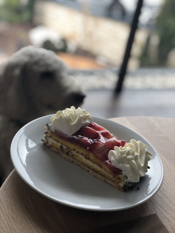 küchen-glück-Lunaris-Kuchen