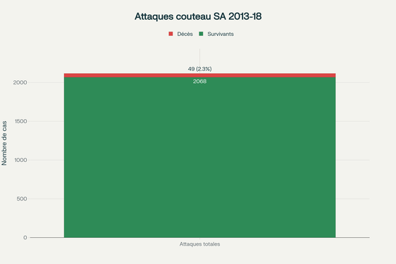 Ampleur des attaques au couteau en Afrique du Sud (Étude KwaZulu-Natal 2013-2018)