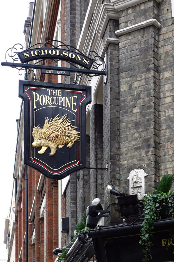 London - The Porcupine