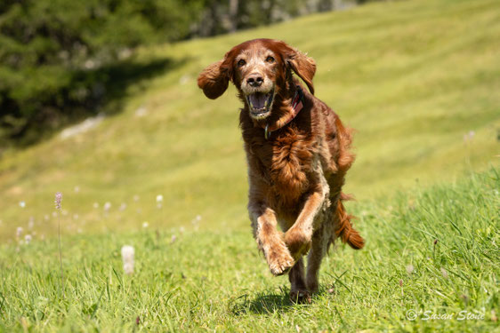 Annie, 11 Jahre alt.