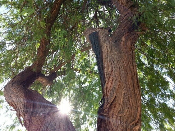 Impression auf dem Campingplatz nach einer sehr heissen Nacht.