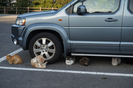 すいません、私の車なんですけど・・・