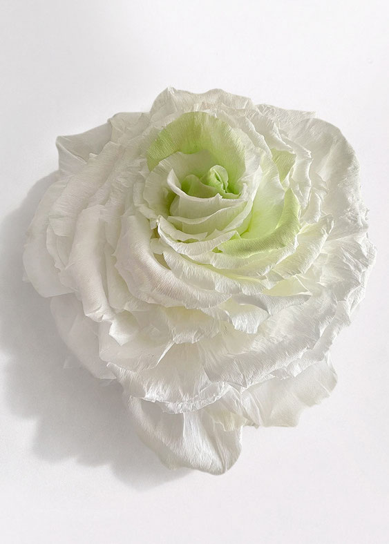 botanical_paper_sculpture_giovanna_molinari_casile_momo_pure_bentley_rose