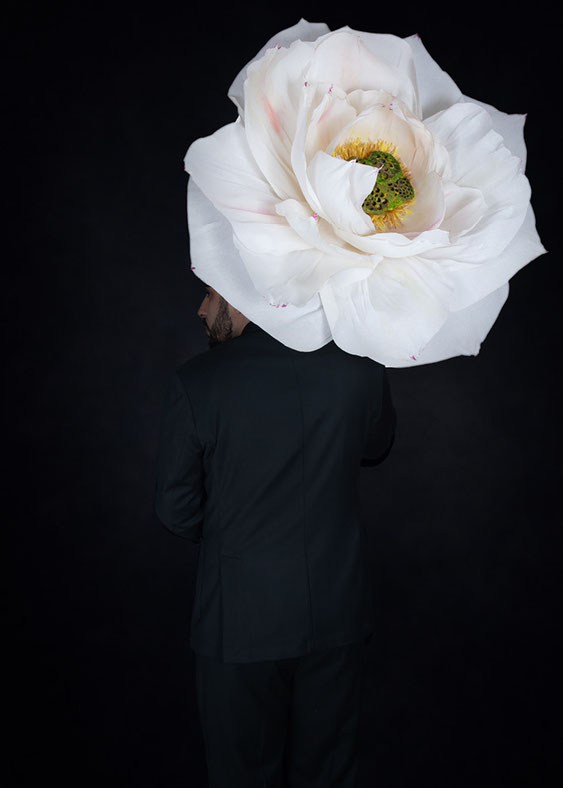 botanical_paper_sculpture_giovanna_molinari_casile_momo_pure_blumenskulpturen