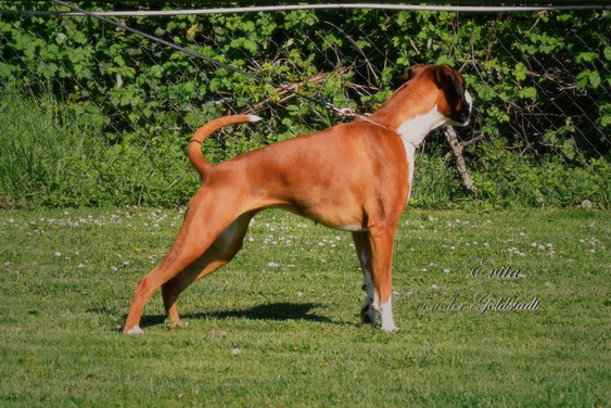 im Alter von 2 Jahren