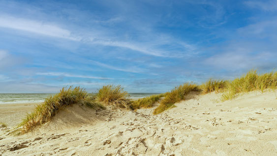 Hotel Wernerwald Cuxhaven - Natur