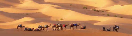 méharée, caravane, désert, dunes, trekking, randonnée, rando, trek, bivouac, ouarzazate, Marrakech, maroc, circuit, séjour, voyage