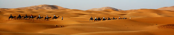 méharée, marrakech, bivouac, randonnée, rando, trek, randonnee, trekking, maroc, désert, dunes, bivouac