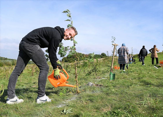 Tim beim Bäume pflanzen für eine neue Waldfläche in Deutschland. 