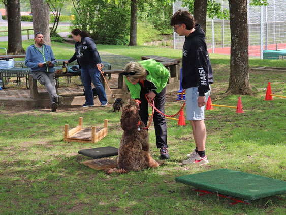 Kinder auf dem Übungsplatz für Hunde beim Sporttag des DJK-SV Wasseralfingen | has-shadow