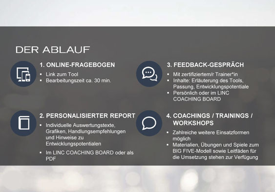 Ablauf onlinetest report feedback Coaching Training workshop Ruhlkötter cux.coach