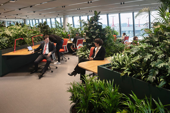 Referenz MOL-Campus