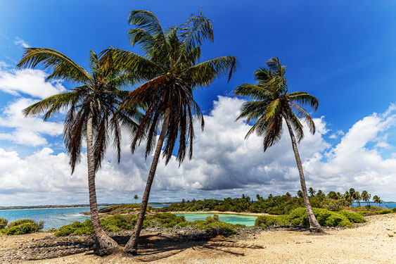 isla de santo aleixo, barra de sirinhaém, pernambuco, brasil, playa ferradura, isla de ensueño, consejo de viaje, playas de arena blanca, cocoteros, aguas cristalinas, vacaciones en la playa