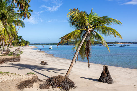 traumstrand, praia dos carneiros, kapelle são benedito, strand, rio formoso, pernambuco, meerwasser schwimmbäder, brasilien, tropisches lebensgefühl, recife, reisetipps