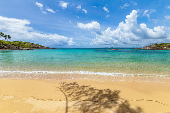 island of santo aleixo, dream island, barra de sirinhaém, brazil, crystal clear water, coral reef, white beach, insider tip, sunset, travel reports, dream island