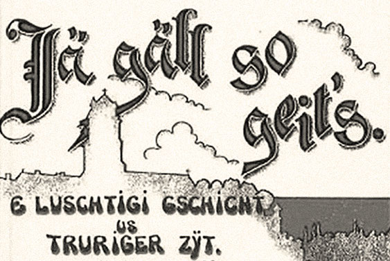 Publikationen der Stiftung