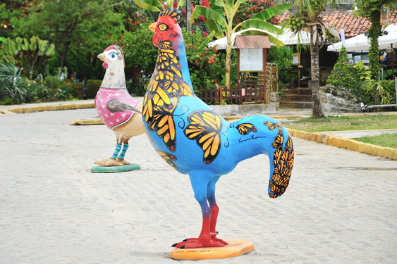porto de galinhas, chickens, exhibition, tourist place, brazil, beach vacation, slave port, fishing village, sightseeing tours, brazil travel, nightlife