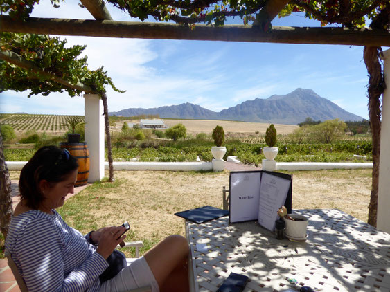 Bild: Blick auf das Gebirge Groot Winterhoek