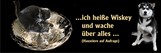 unsere jungen Katzen und Wachhund Whiskey