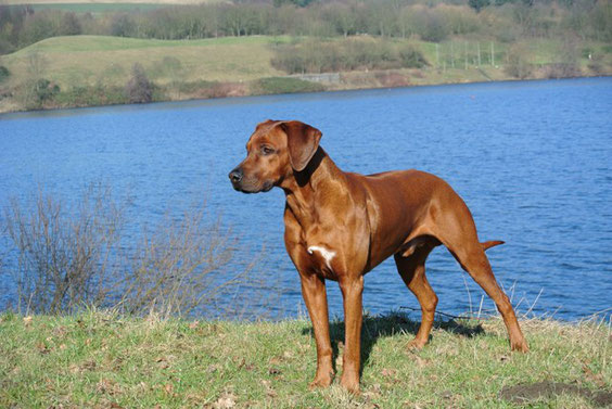 Nelson mit 4 Jahren.....