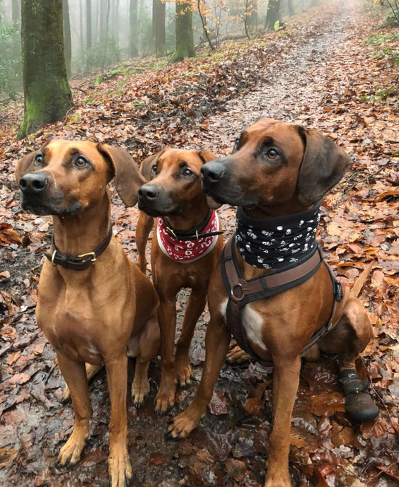 Pebbles, Peaches & Makini