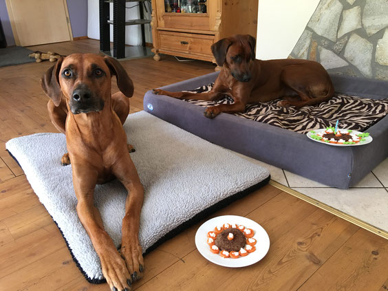 Mama Pebbles hat am Geburtstagsfrühstück natürlich sehr gerne teilgenommen....