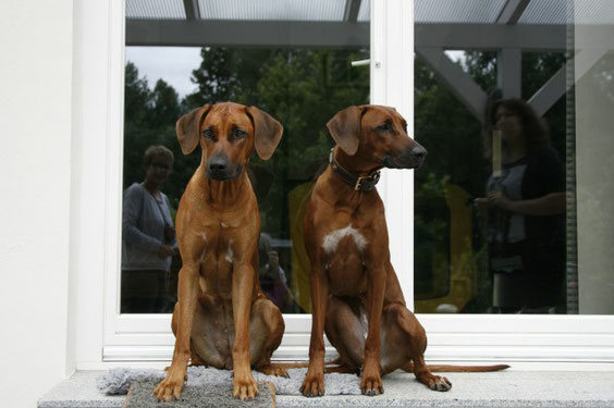 Pebbles & Nela mit ca. 13 Monaten
