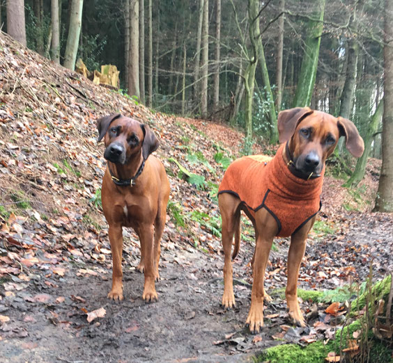 Papa Cuba & Mama Pebbles