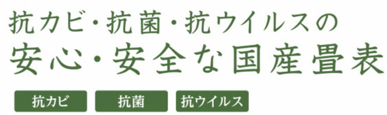 絢葉6の説明書き