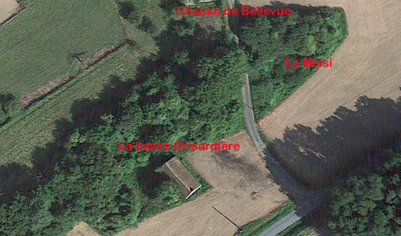 Sur cette vue aérienne prise sur Google Earth nous avons la basse Grisardière et le Moisi de chaque côté du chemin conduisant à Bellevue et Bel Air.