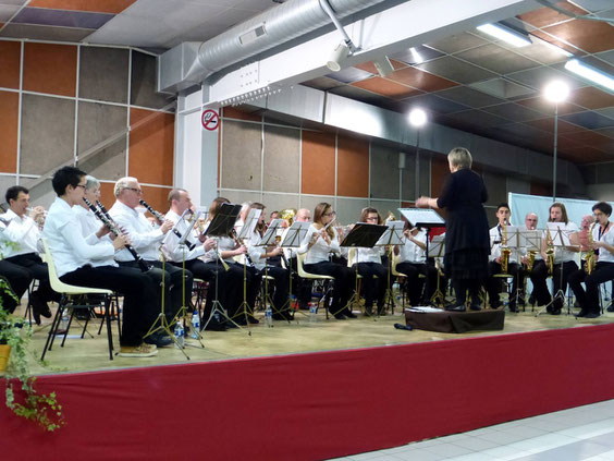 Le nouvel ensemble lors du concert du 11 novembre 2013 à St Christophe