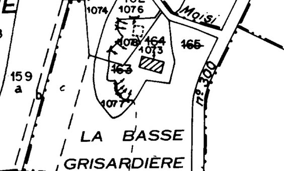 Sur le cadastre actuel, les caves sont toujours indiquées (flèches), mais il n'y a plus qu'un seul bâtiment.